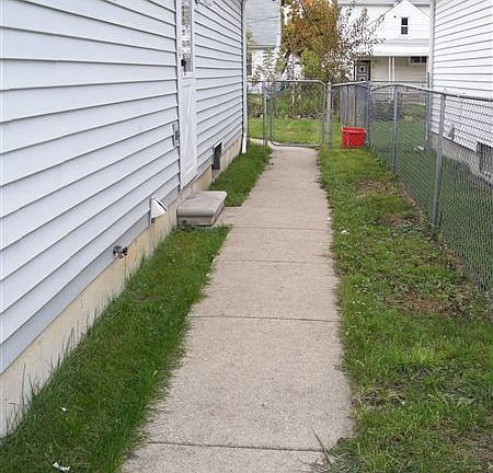 View of "dog run"