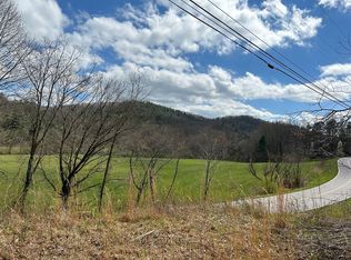 262 Dial Rd, Blue Ridge, GA 30513