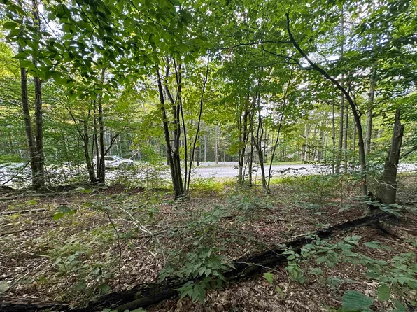 123 Fern Ln, Davis, WV 26260