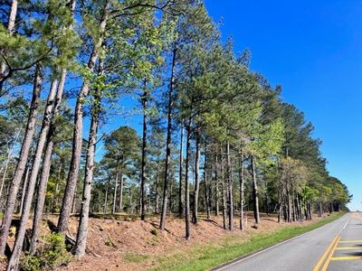 TRACT 2 Whiddon Mill Rd, Tifton, GA, 31793