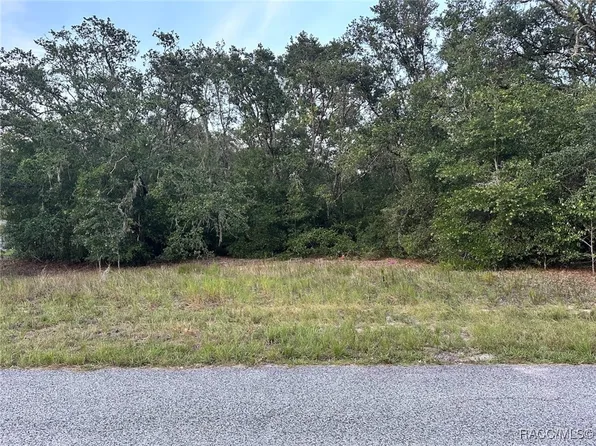 11789 N Providence Way, Citrus Springs, FL 34433