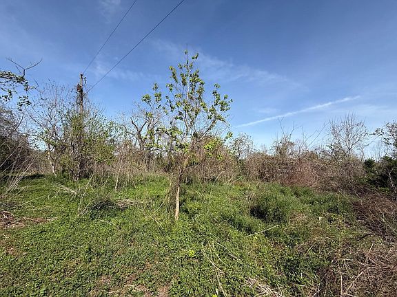 4th image of 0 County Road 613