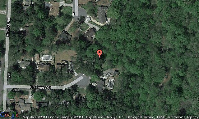 Map View