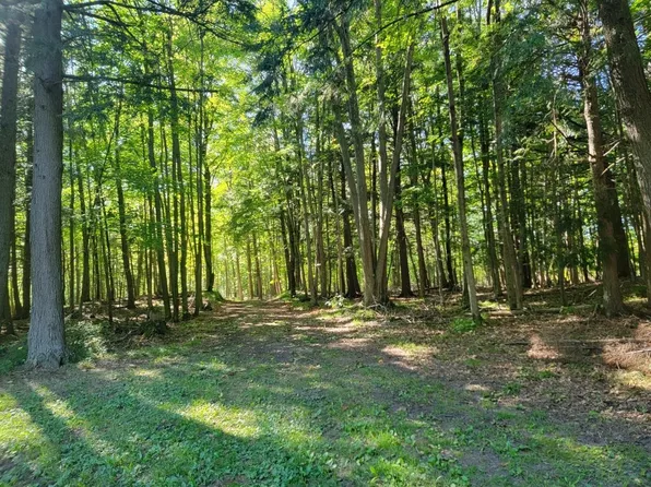 N3276 S Broadway Rd, Bonduel, WI 54107