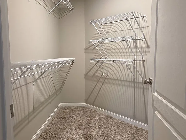 4238 Apple Branch Dr — Photo 13