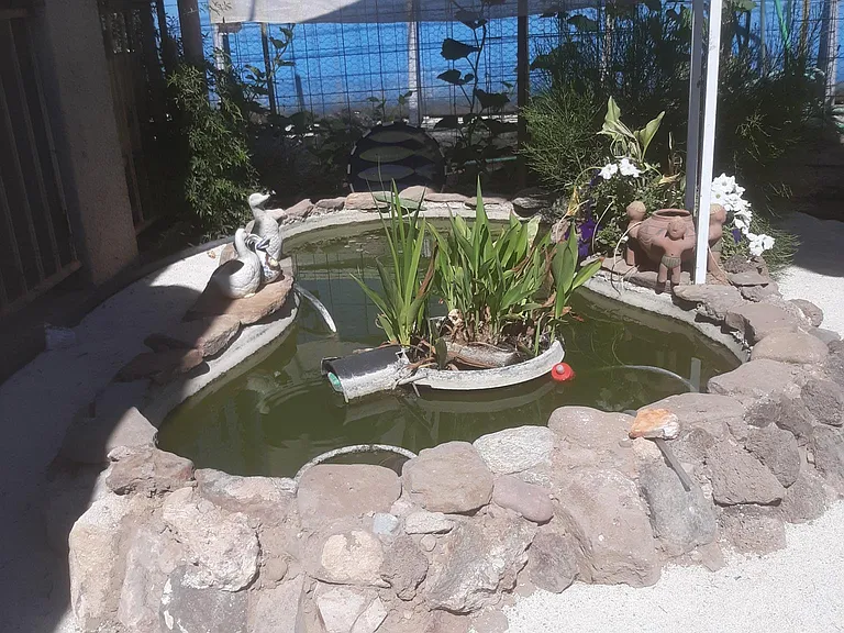 Goldfish pond in the Zen garden. The covered porch swing makes this a relaxing space in which to unwind.