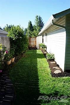 Small Storage Shed