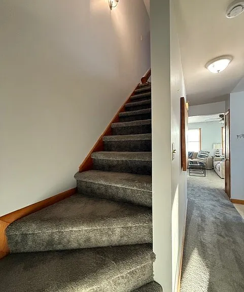 16 Wexford Rd #A — Photo 14