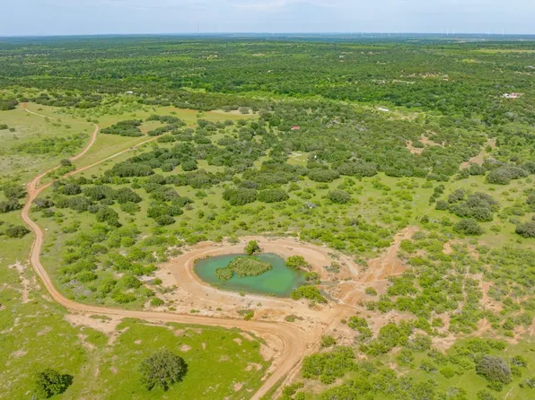 136 Moose Trl, Ranger, TX 76470