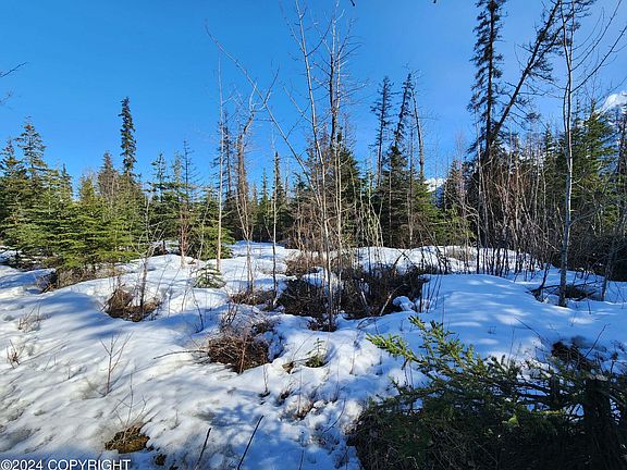 2nd image of 4605 S Old Glenn Hwy