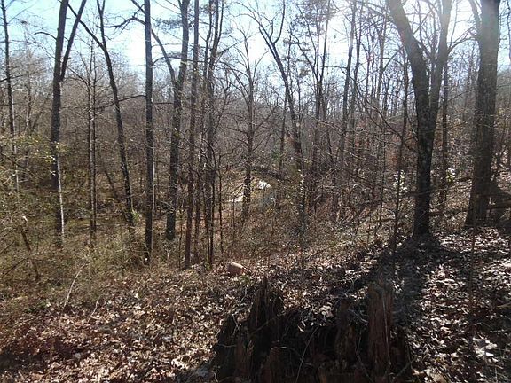 4th image of 1007 Coffee Rd