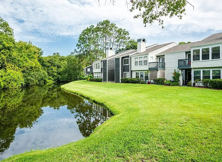 The Pointe at Carrollwood — Photo 34