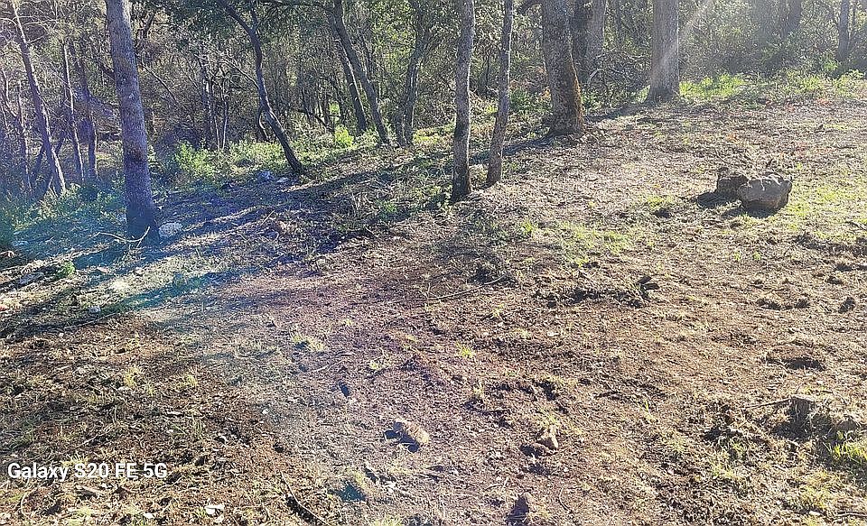 2nd image of 15365 Birch Ave