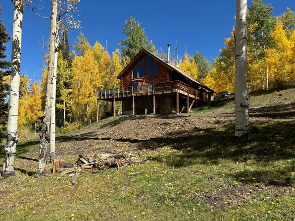 965 Woods Rd, Placerville, CO 81430