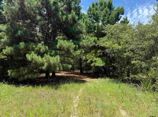 2008 County Road 3230, Quitman, TX 75783
