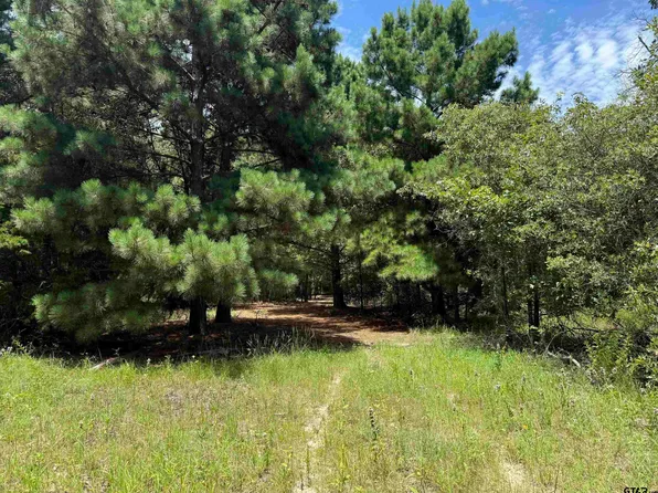 2008 County Road 3230, Quitman, TX 75783