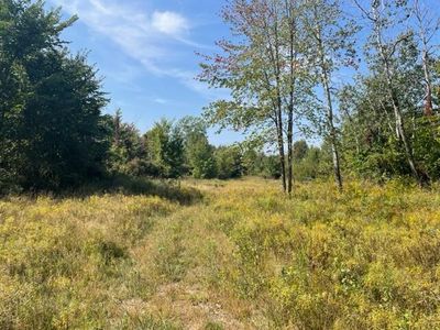 Vl County Rd #215, Bangor, MI, 49013