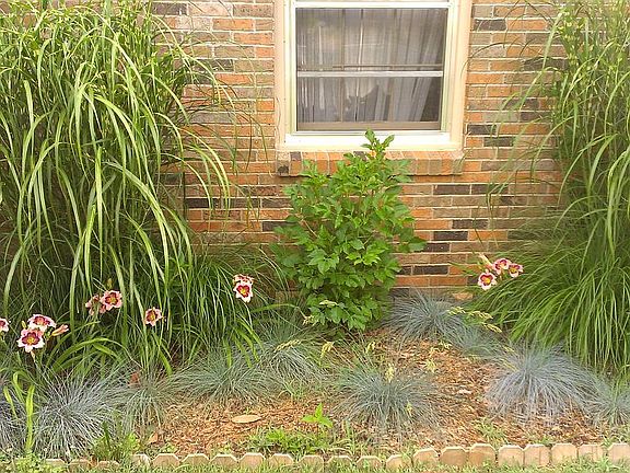 3rd image of 293 Melinda Dr