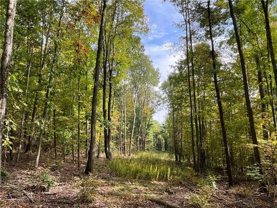 Thayer Rd #33, Erin, NY, 14838