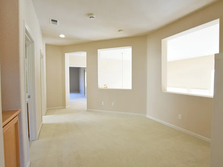 4070 Carracci Ln — Photo 15