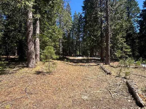 3-H-20 Red Fir Rd, McCloud, CA 96057