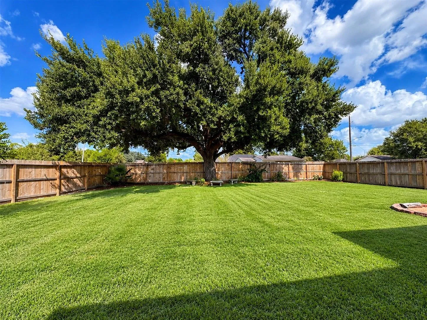 3 bed, 2.0 bath, 1739 sqft, $1,800 — Photo 3