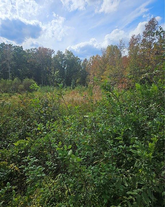 2nd image of 425 Michael Rd