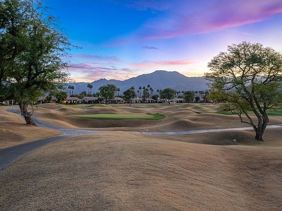 5th image of 80709 Oak Tree