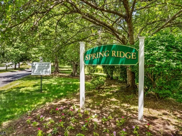 286 Potomac Dr, Bernards Twp., NJ 07920