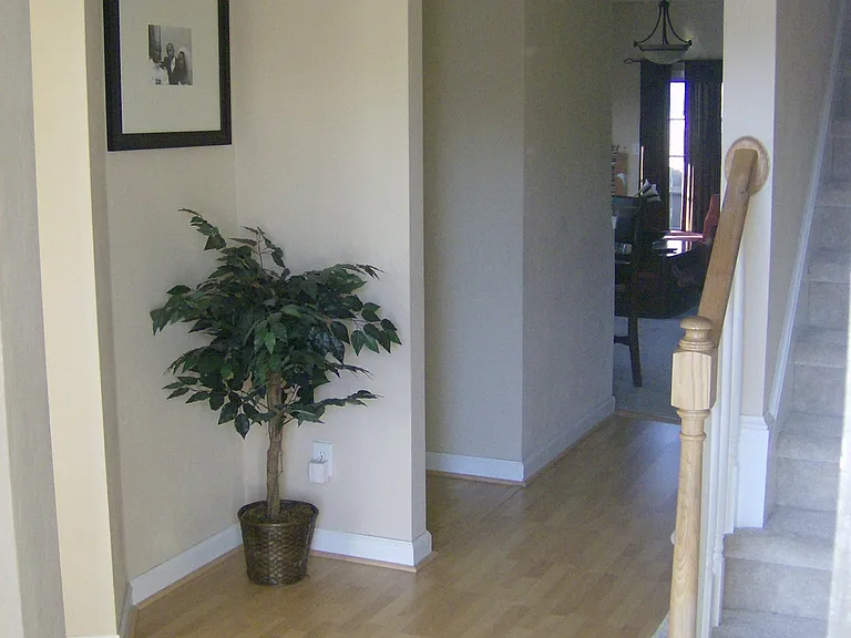 5101 Maracas Arch — Photo 3