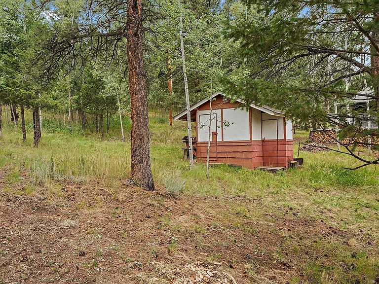 356 Yellow Pine Dr — Photo 28