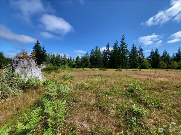 4444 Sawyer Way, Forks, WA 98331