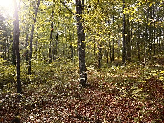4th image of 123 County Road 203