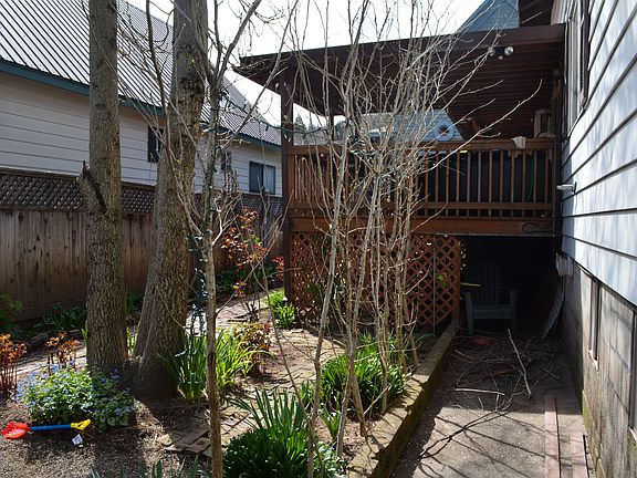 Backyard (early spring)