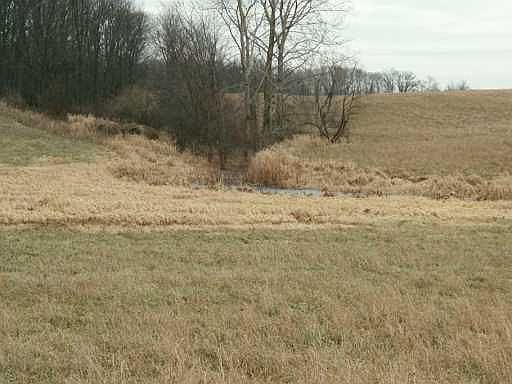 2nd image of Coonhill