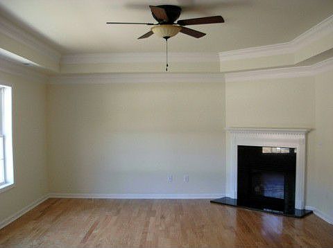 LR with trayed Ceilings