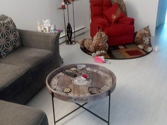 4th image of 882 Balmoral Ct