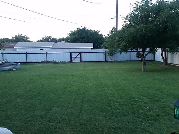 backyard summer 2016
