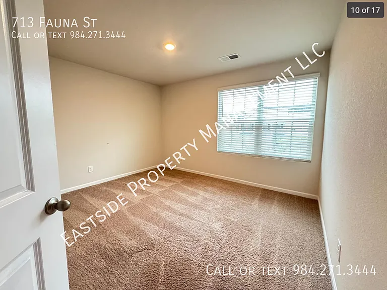 713 Fauna St — Photo 10