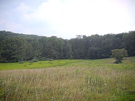 4th image of 718 Brockton Mountain Dr