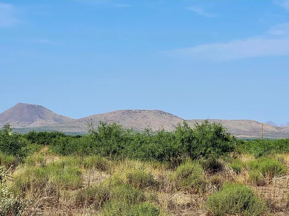 Lot 13 E Bumblebee Lane #13, Pearce, AZ 85625