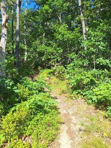 49 Oak Valley Road, Wellfleet, MA, 02667
