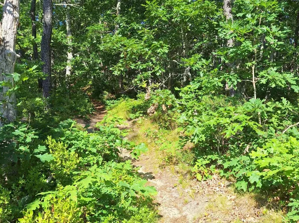 49 Oak Valley Road, Wellfleet, MA 02667