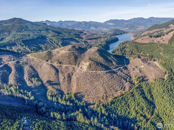 (undisclosed Address), Cougar, WA 98616
