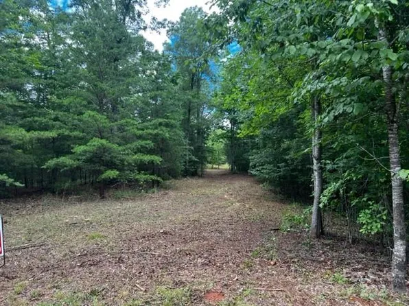 46 N Park Ln, Mill Spring, NC 28756