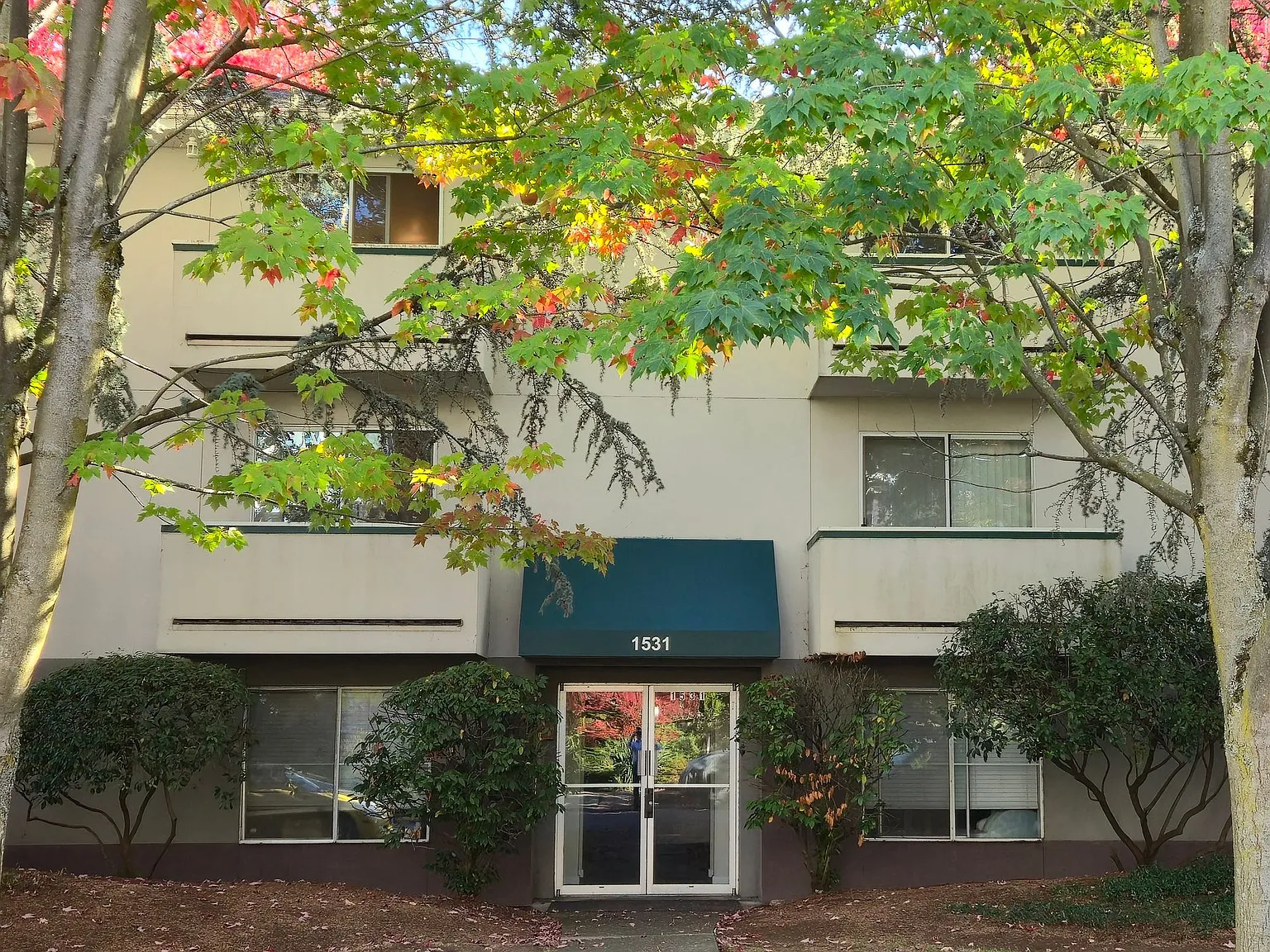 Charming & Spacious 1-Bedroom Apartment in Wonderful Ballard Location — Photo 2