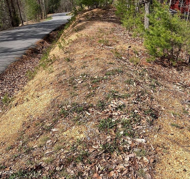 1st image of 0 Engle Town Rd Lot 4