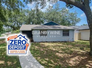 16051 Grass Lake Dr, Tampa, FL 33618
