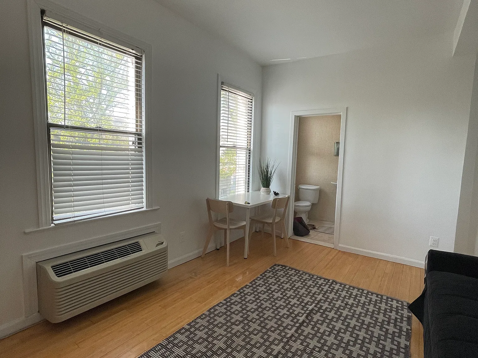 Studio, 300 sqft, $1,850 — Photo 3