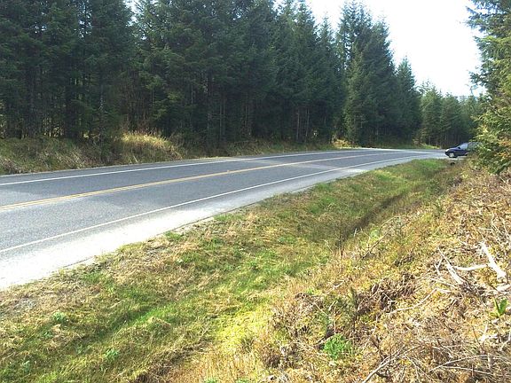 3rd image of 9-85 Mitkof Hwy